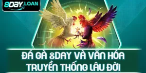 Đá gà 8day và văn hóa truyền thống lâu đời