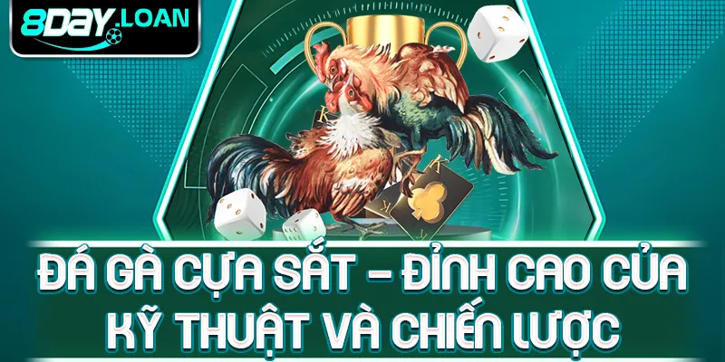 Đá gà cựa sắt - đỉnh cao của kỹ thuật và chiến lược