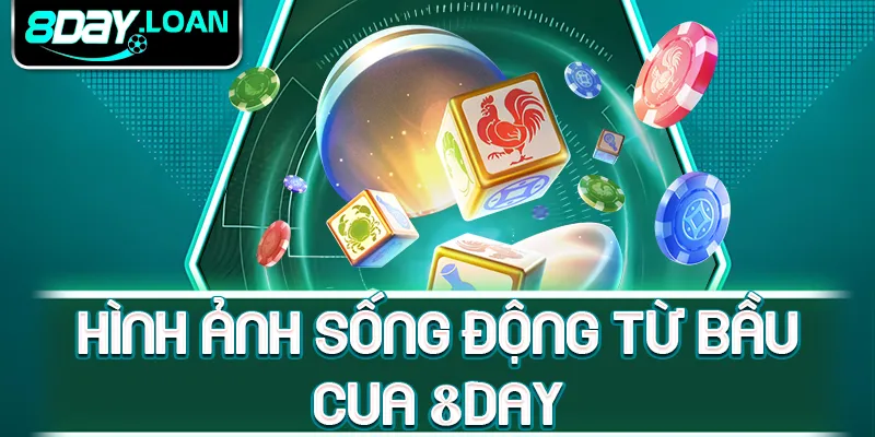 Hình ảnh sống động từ bầu cua 8day