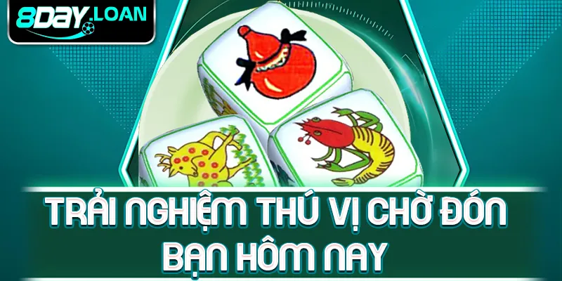 Trải nghiệm thú vị chờ đón bạn hôm nay